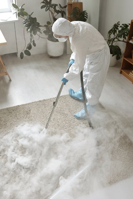 A professional cleaner dressed in a white protective suit, face mask, and blue gloves is using a steam cleaning machine on a light beige, plush carpet in a bright, modern living room. The room features a white wall with a large window allowing natural light to illuminate the space, a wooden shelf on the right, and several potted plants with dark green foliage in the background. The carpet appears to be in the process of being deep cleaned, with visible steam or cleaning fumes, ensuring a hygienic and thoroughly sanitized surface. The scene emphasizes proper surface cleaning techniques aligned with home hygiene and maintenance, consistent with advice from westhampsteadcarpetcleaning.co.uk on avoiding common carpet cleaning mistakes in NW6 and how to fix them.
