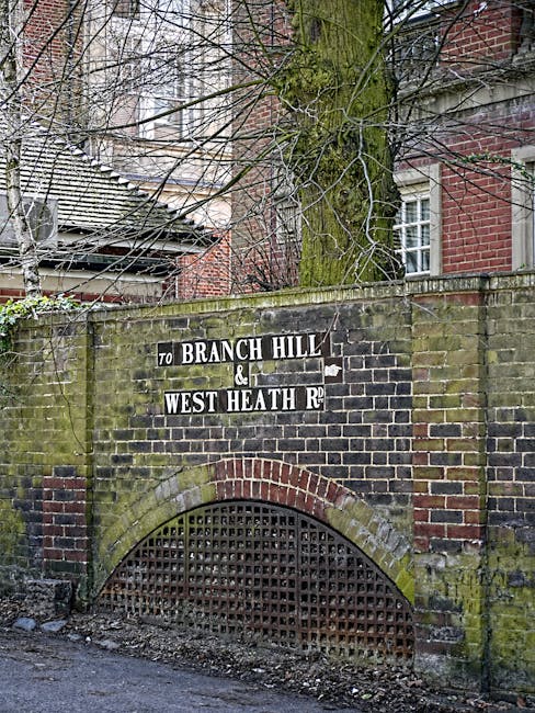 A row of traditional brick residential buildings on a curved street in West Hampstead, NW6, with white-painted doors and decorative columns at the entrances. The street is lined with black iron lampposts and small gardens with bushes and trees, some of which have light snow cover. The ground appears wet, possibly from recent cleaning or weather conditions, and the overall scene emphasizes the clean, well-maintained appearance of the area, reflecting the environment targeted by West Hampstead Carpet Cleaning's surface cleaning and domestic hygiene services.